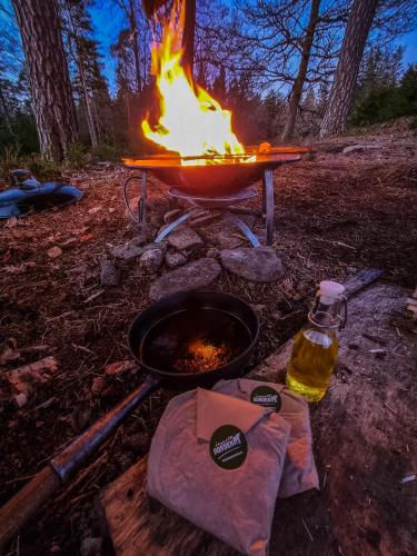 Wildlife camp In a Nordic tipi