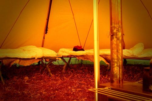 Wildlife camp In a Nordic tipi