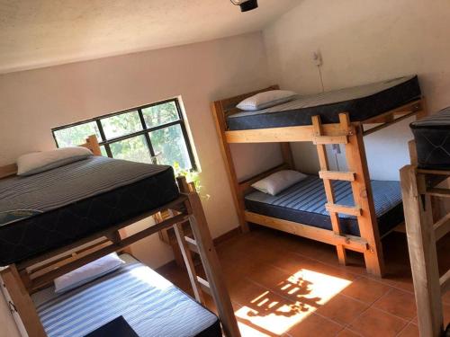 Hostal Tribu Malinalco