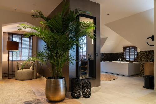 Suite, terrasse