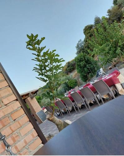 Agriturismo Fontana del Milo in Mandatoriccio Mare
