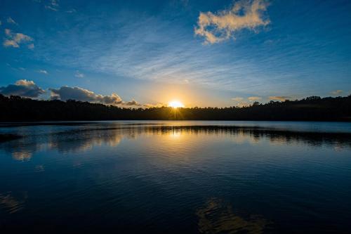 สภาพแวดล้อมโดยรอบ, แชมเบอร์ส ไวล์ดไลฟ์ เรนฟอเรสท์ ลอดจ์ (Chambers Wildlife Rainforest Lodges) in เลค เอชแชม