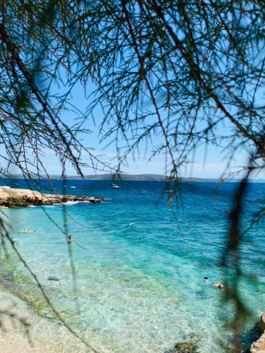  Villa Hvar in Ivan Dolac