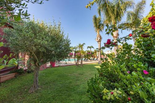 Albatros Hotel - image 6