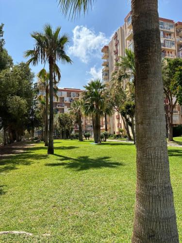 Gamonal Costa del Sol apartamentos 3