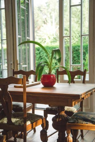 Exquisite 1930's Historical House - Tap to explore photos