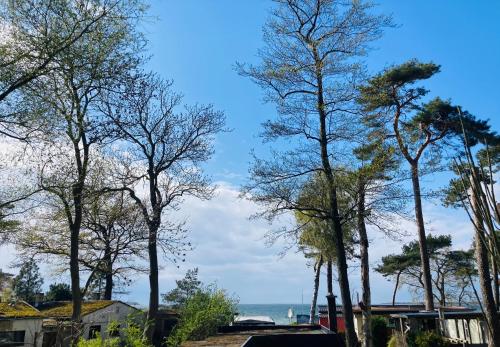 Bungalow - Water Front