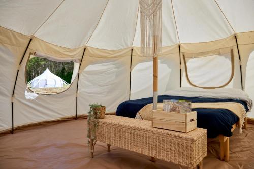 Tent Lotus