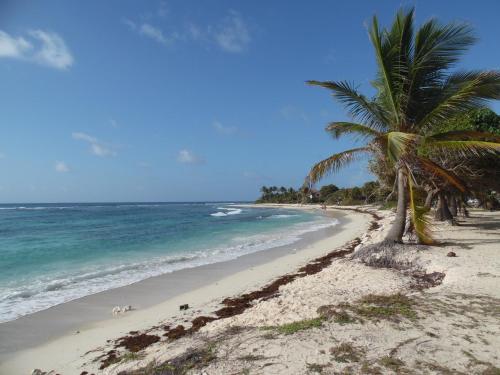 Nearby attraction, Kaz ananas, spa privatif ,plage du Helleux in Berard