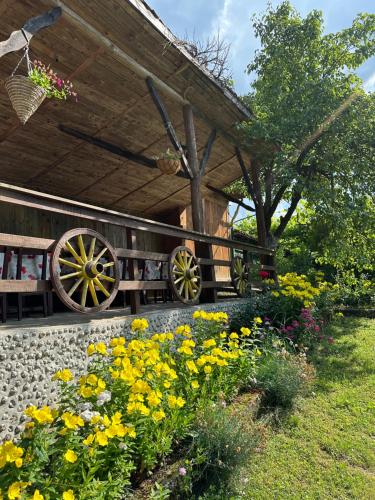 Вила Чевермето in Ruhovtsi