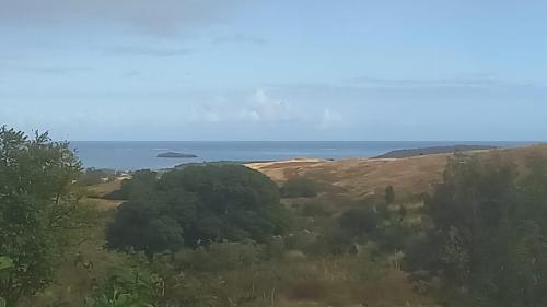 Sur la route des tortues in Rodrigues