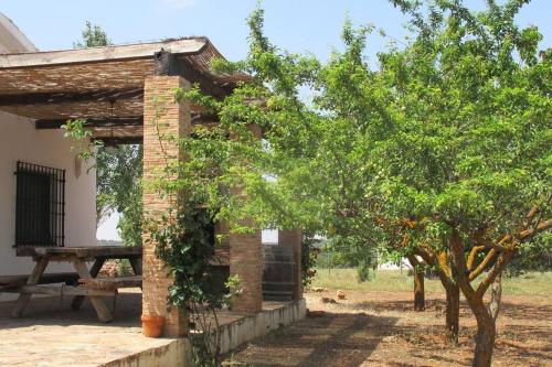 花園, Gran Casa, Lagunas de Ruidera, BBQ, porche, chimenea in 奧薩德蒙鐵爾