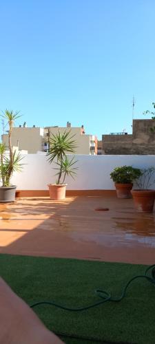  Super terrassa in Amposta