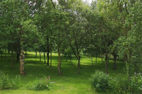 Hedgehog Holiday Home in the countryside, 10 mins to Lligwy beach in Rhos-y-bol