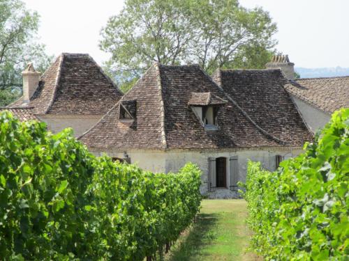 Domaine de Fumel Le Chai gîte à louer Sperréton
