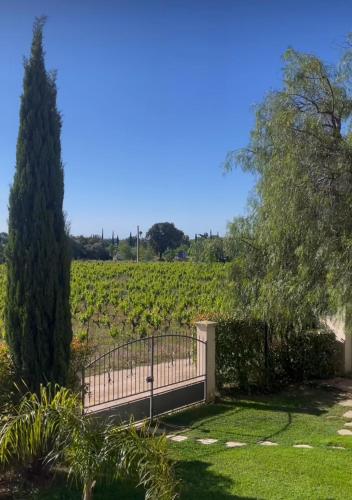 Chateau de la Clapiere - image 2