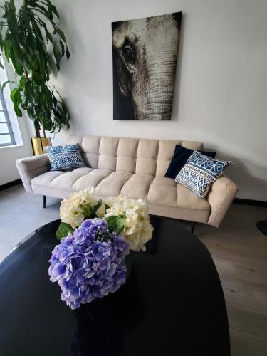 One-Bedroom Apartment image 4
