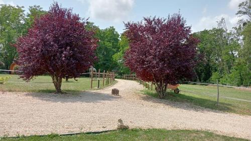 La Fontaine de la Chapinière CW