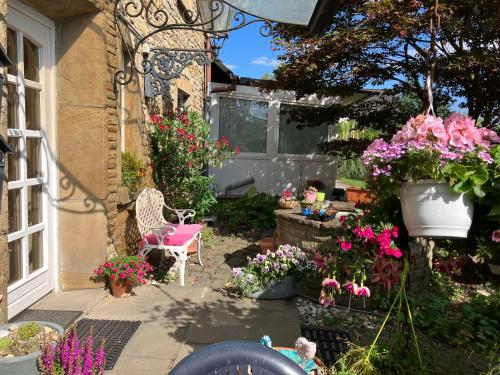 Ferienwohnung im Grünen mit Terrasse EG