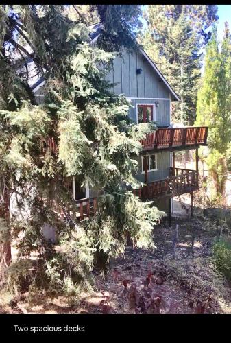 Hallelujah Forest in Big Bear Lake, USA