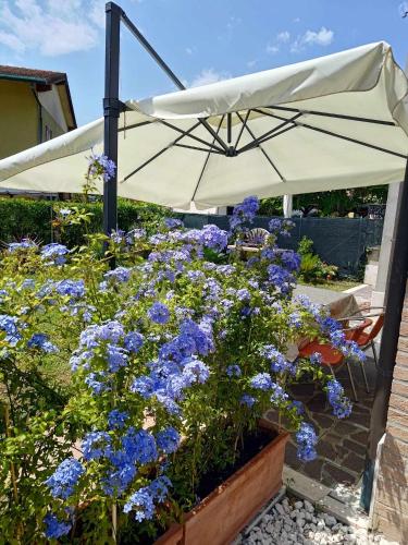 Berto's house tra mare e laguna