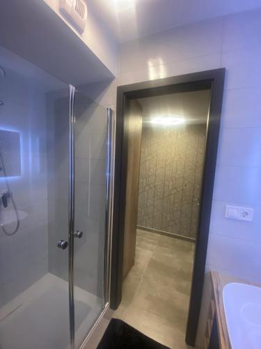One-Bedroom Apartment image 4