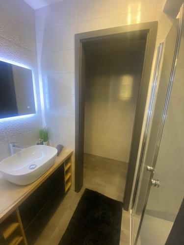 One-Bedroom Apartment image 3