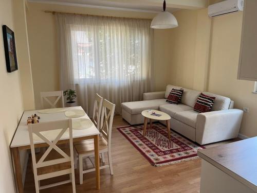 Irena and Papi's warm apartment, Tirana (photo 4)