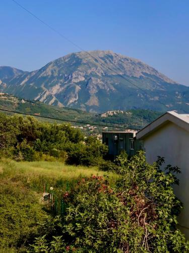 Bar Aperol Apartment Bar Aperol Apartment