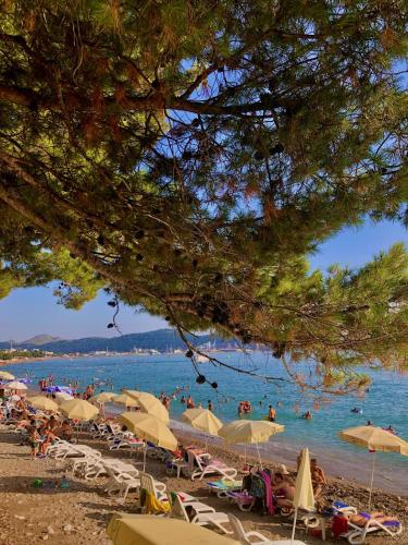 Bar Aperol Apartment Bar Aperol Apartment