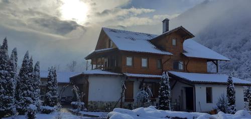 Gasthaus Maria in Turnu Ruieni