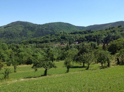 Apkārtne, L'Auberge De Montpezat in Montpezat-sous-Bauzon