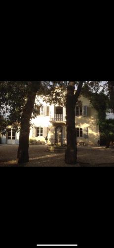 Villa in Versilia con dependance e piscina privata