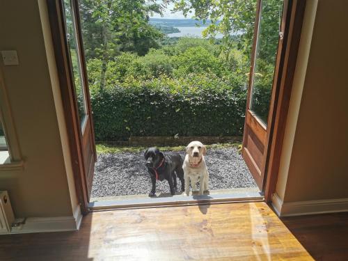 Guestroom, Blue Stack View in Lough Eske