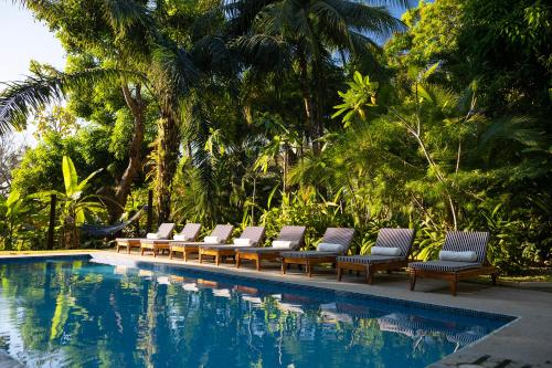 The 10 Best Hotels in Montezuma, Costa Rica for All Budgets