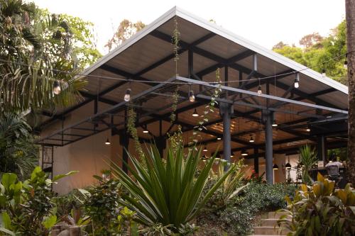 The 10 Best Restaurants in Montezuma, Costa Rica