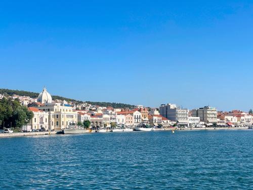 Mytilini central apt 5 min walk from port, shops 2
