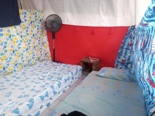 VOLUNTARY & Camping in Cozumel, Mexico