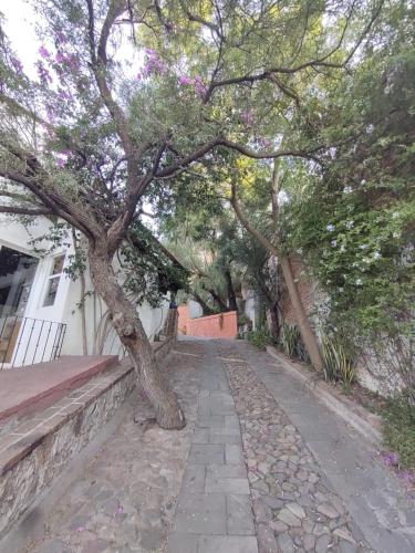 Laica House in San Miguel de Allende, Mexico