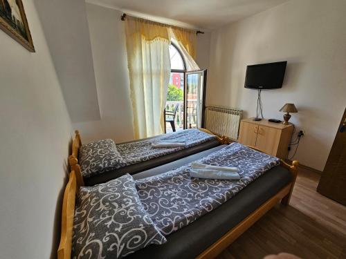 Aleks Sobe in Banja Koviljaca
