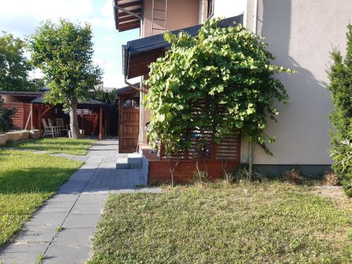 Apartamenty Rodzinne Pilica PARK