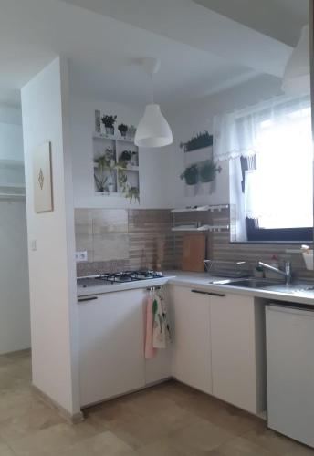 Apartamenty Rodzinne Pilica PARK in Sulejow