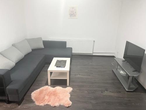 One-Bedroom Apartment image 7