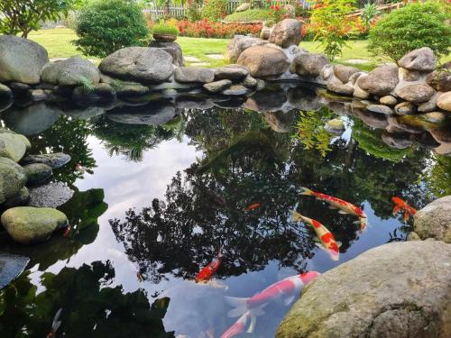 Trường Anh Homestay Bản Tùy Hà Giang - 정원