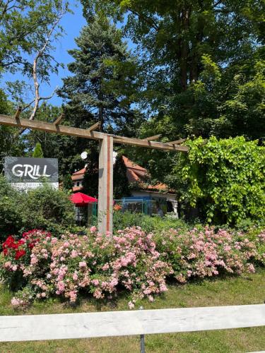 Dedek Park - image 12