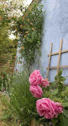 Maisonnette à la campagne rivière SPA et détente