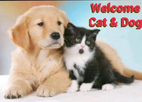  VENICE-HOUSE in Quarto dʼAltino