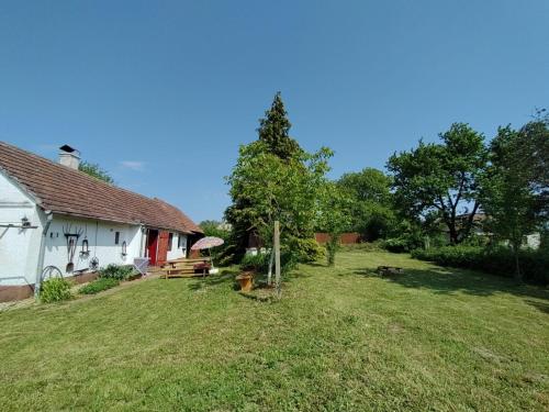 Dārzs, Zsuzsanna Ház (Zsuzsanna Haz) in Viszák