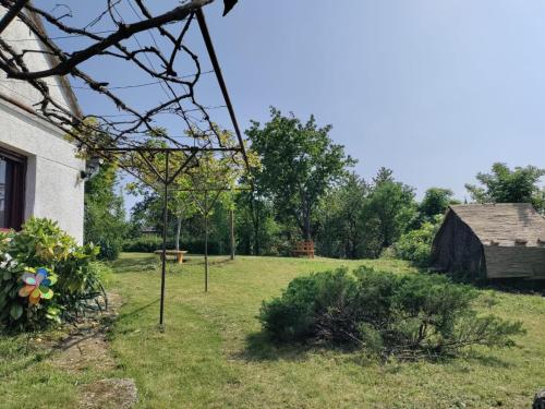 Dārzs, Zsuzsanna Ház (Zsuzsanna Haz) in Viszák