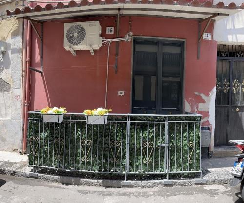 BonaHouse